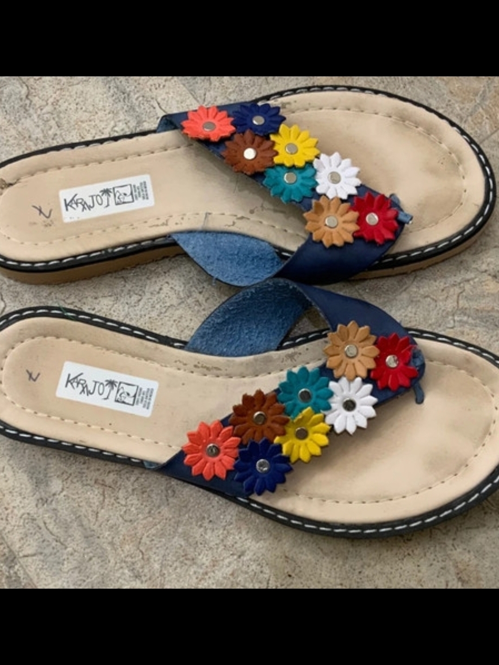 Raj Navy Leather Flip Flops with Multicolor Flower Appliqués